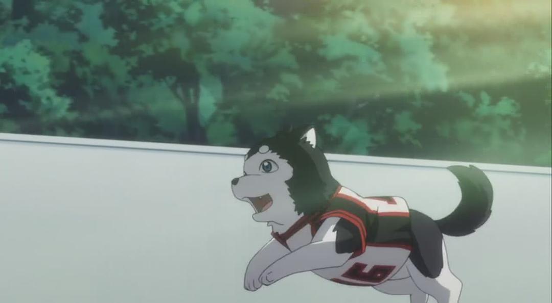 《黑子的篮球OAD》剧照